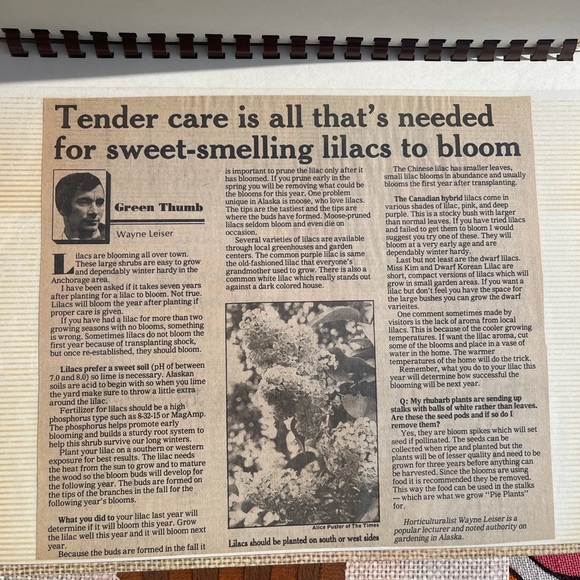 Vintage floral print photo albums - Picture 5 of 5